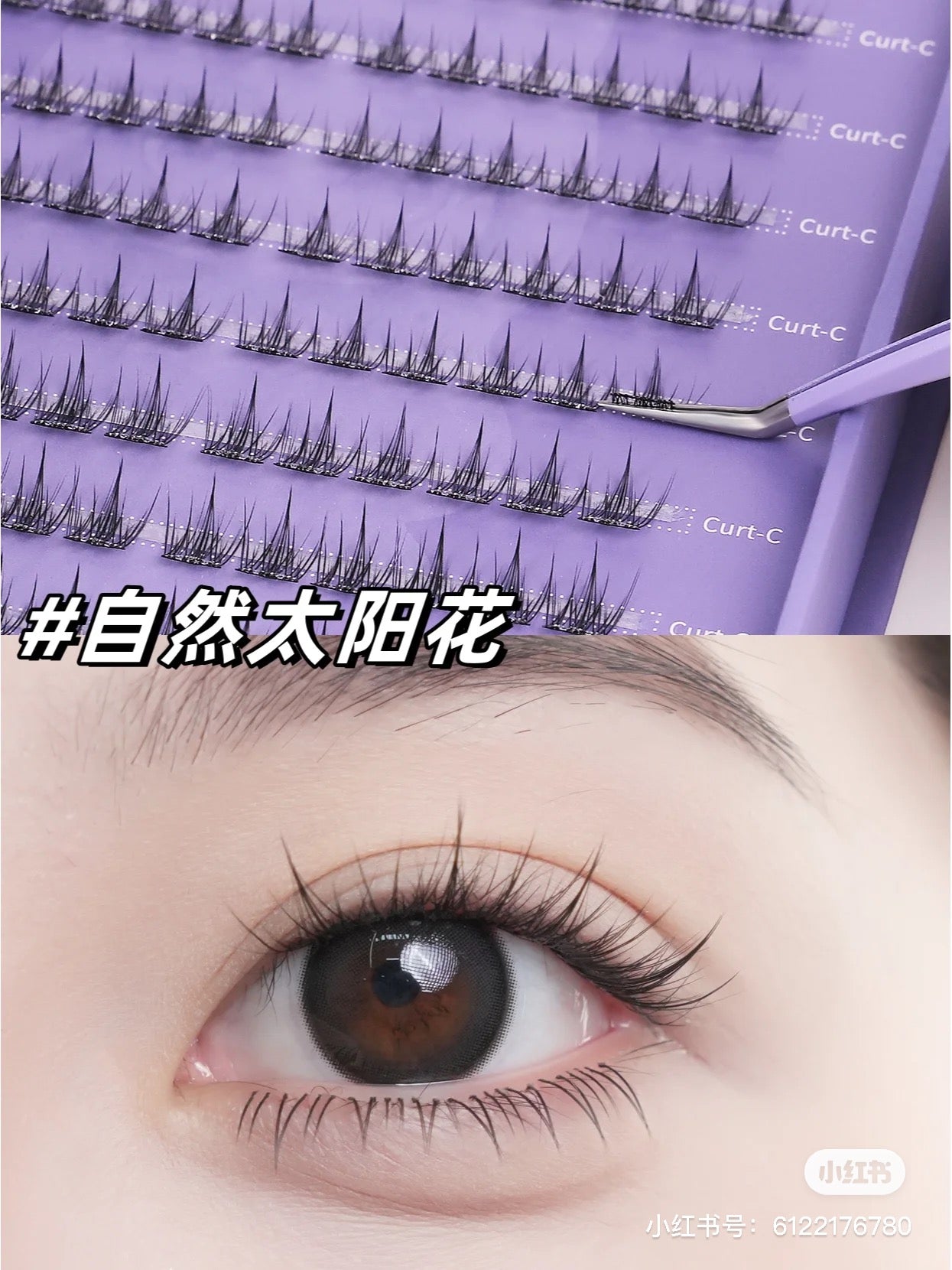 「✨送旅行装*2」【120簇限定大盒装】🌻【太阳花|Sunflower】免胶水假睫毛